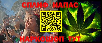 стаф Тверь