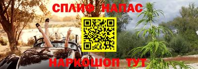 МДПВ Тара