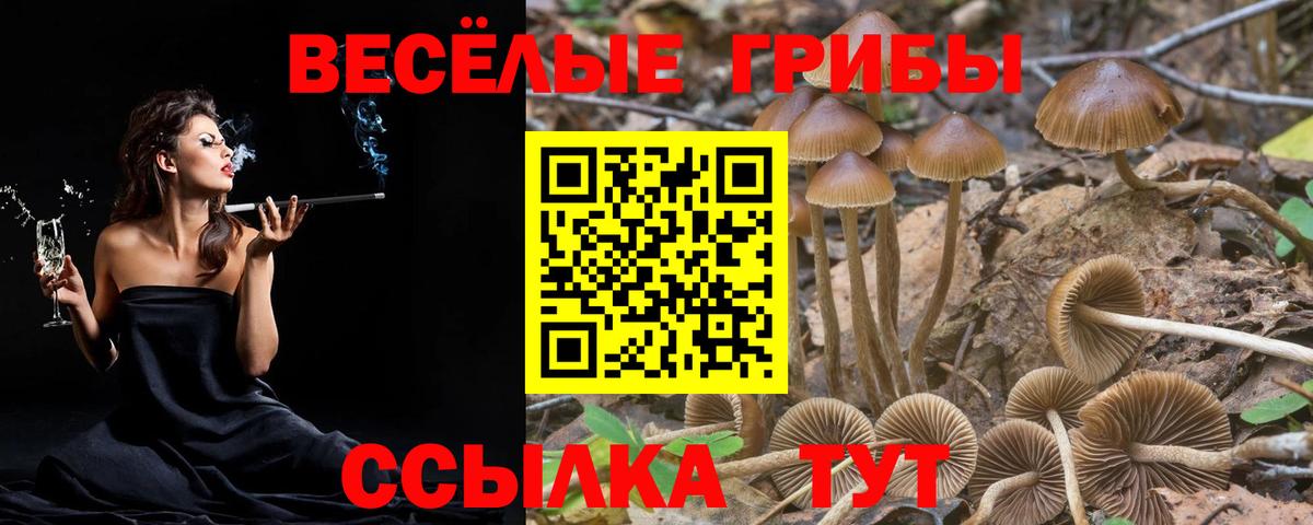 Баксан  где купить   Вход с VPN  Галлюциногенные грибы ЛСД 